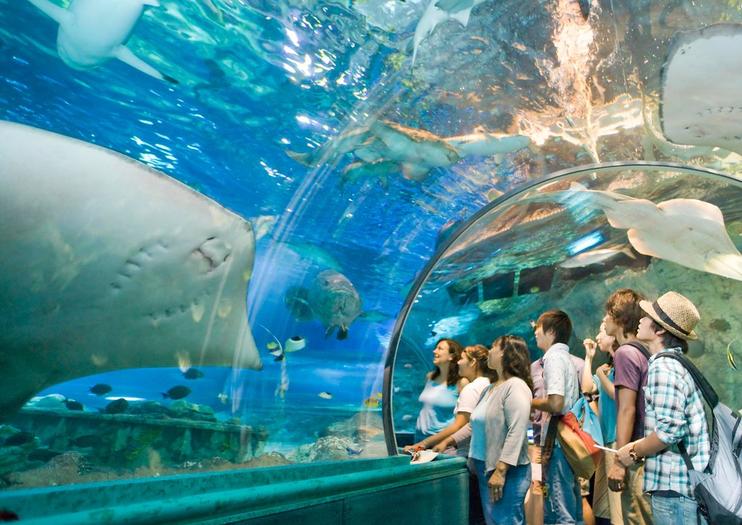 Underwater World
